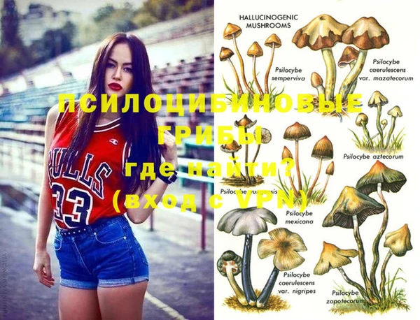 2c-b Белокуриха