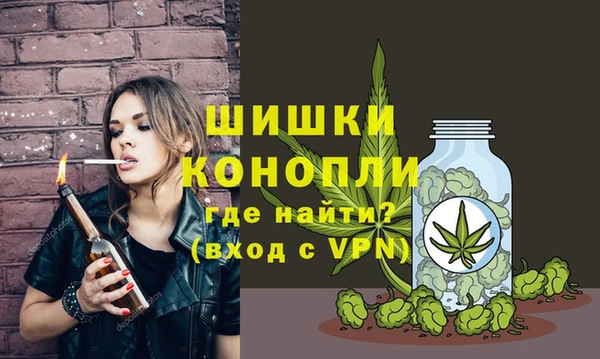 2c-b Белокуриха