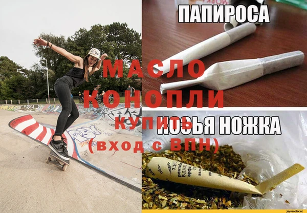 ECSTASY Богданович