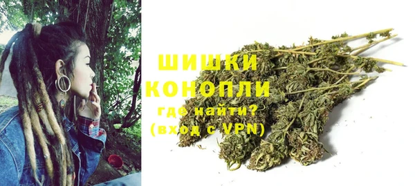 2c-b Белокуриха