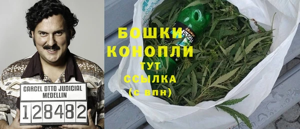 2c-b Белокуриха