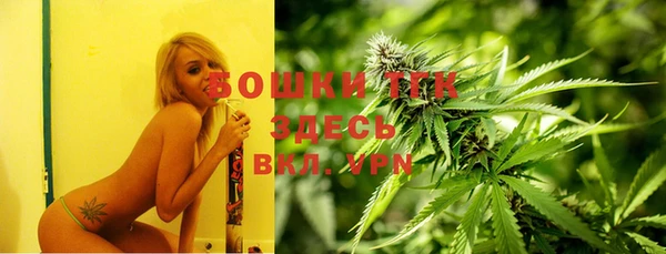 2c-b Белокуриха