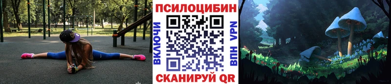 Галлюциногенные грибы мицелий  купить наркотик  hydra маркетплейс  Горнозаводск 